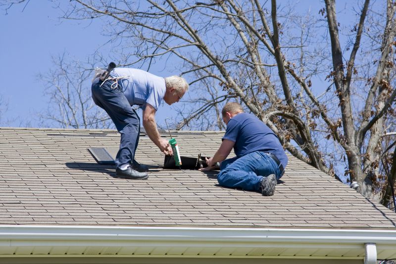 Experienced Roofers